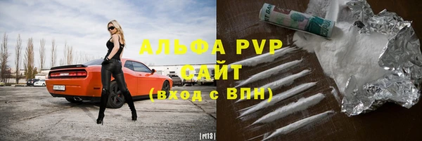 индика Беломорск